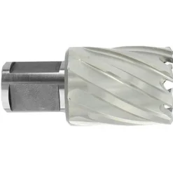 Reikäjyrsin Tivoly, HSS, Weldon-varsi Ø19 mm, lyhyt malli Ø35x60x30 mm