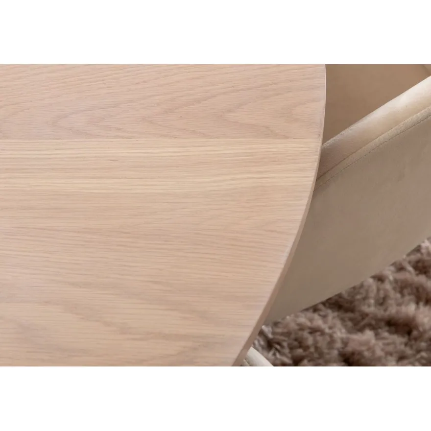 Ruokailuryhmä Venture Home, ⌀110cm Bianca-pöytä + 4 Berit-tuolia, sametti