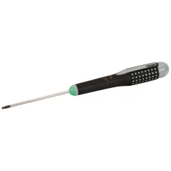 Ruuvimeisseli Bahco Ergo T20x100mm