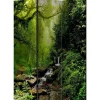 Sermi Artgeist The Fairytale Forest, 135x172cm