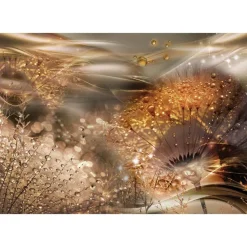 Sisustustarra Artgeist Dandelions' World, eri kokoja