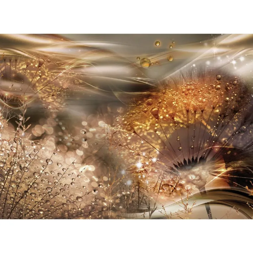 Sisustustarra Artgeist Dandelions' World, eri kokoja