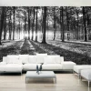 Sisustustarra Artgeist Grey Wilderness II, 280x490cm