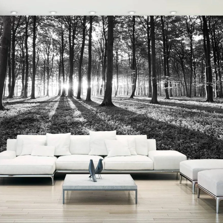 Sisustustarra Artgeist Grey Wilderness II, 280x490cm