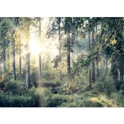 Sisustustarra Artgeist Tales of a Forest, eri kokoja