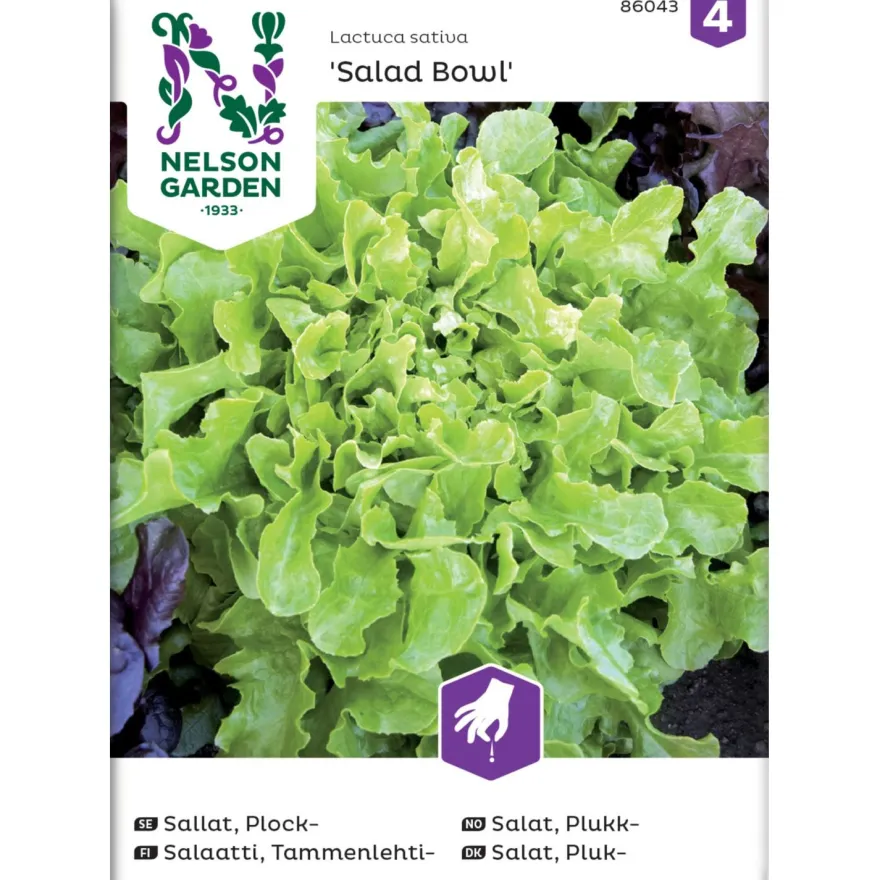 Tammenlehtisalaatti Nelson Garden Salad Bowl, siemenet