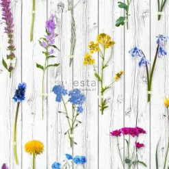 Tapetti Esta Greenhouse 158828, 46,5 cm x 8,37 m, puujäljitelmä, monivärinen