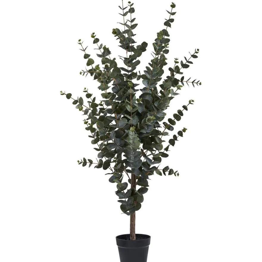 Tekokasvi House Nordic Eukalyptuspuu, 120cm, vihreä