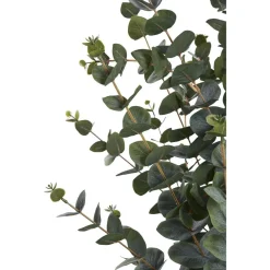 Tekokasvi House Nordic Eukalyptuspuu, 120cm, vihreä