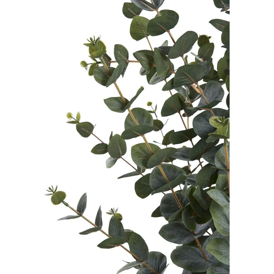 Tekokasvi House Nordic Eukalyptuspuu, 120cm, vihreä