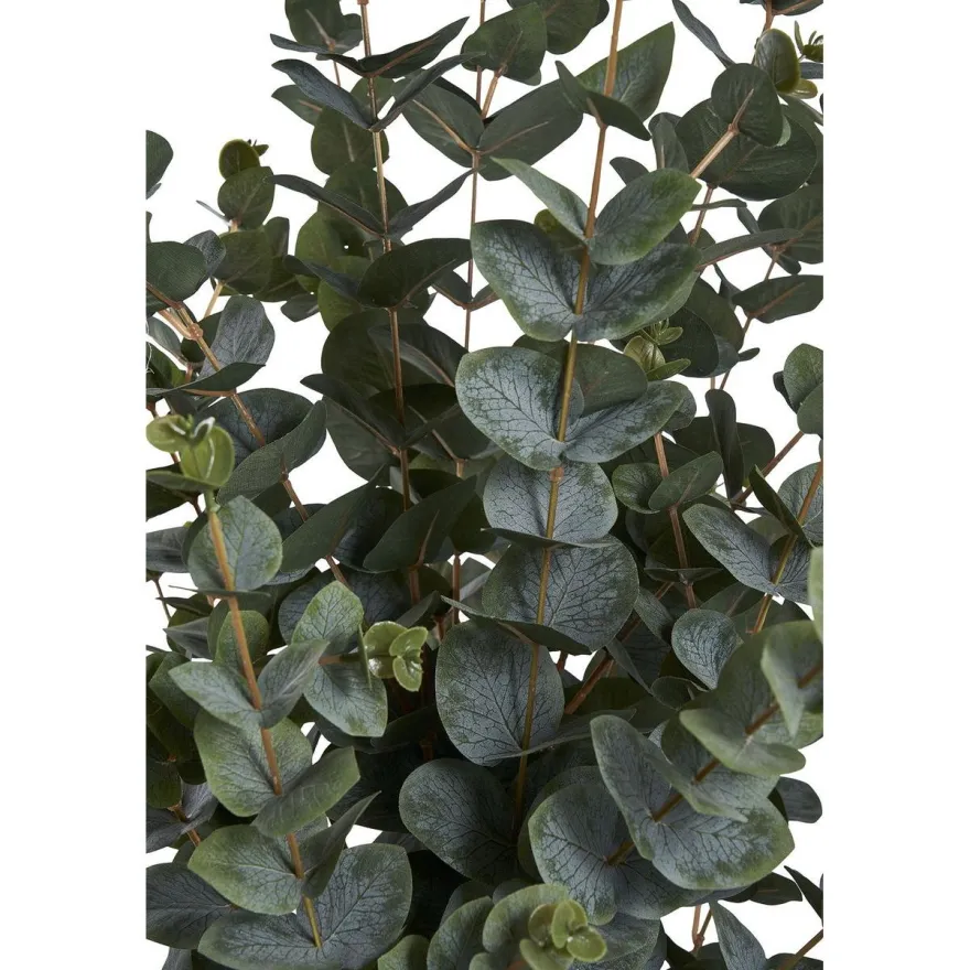 Tekokasvi House Nordic Eukalyptuspuu, 120cm, vihreä