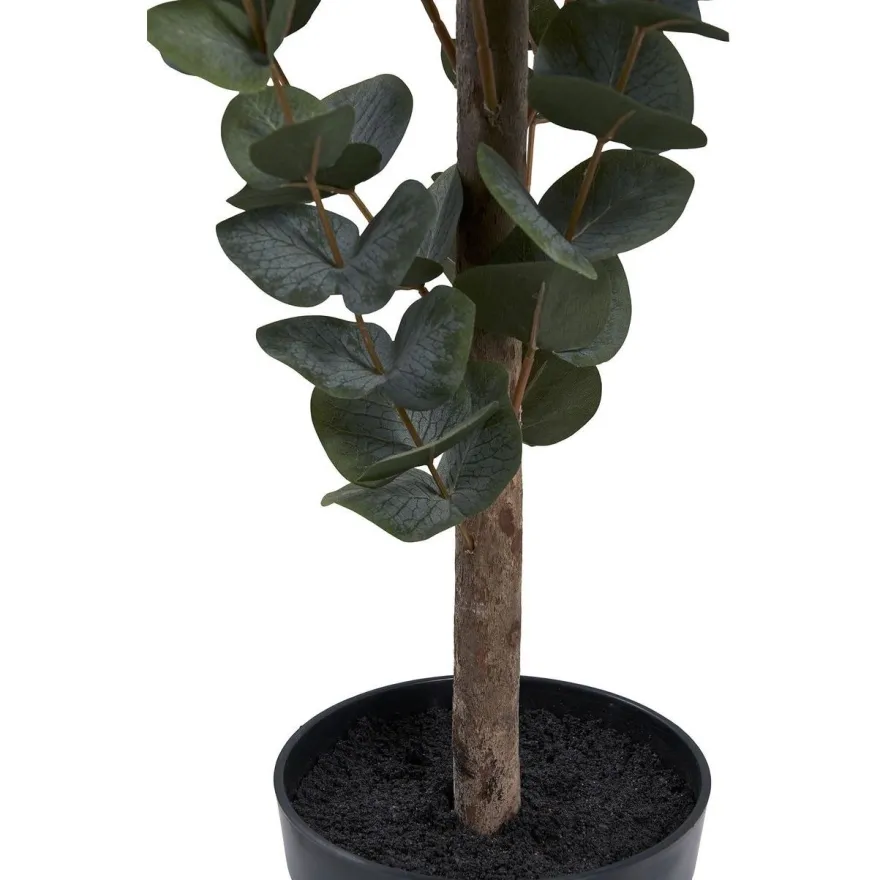Tekokasvi House Nordic Eukalyptuspuu, 120cm, vihreä