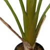 Tekokasvi Lykke Strelitzia Tree, 90cm