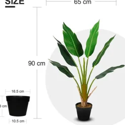 Tekokasvi Lykke Strelitzia Tree, 90cm