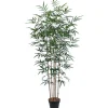 Tekopuu Home4You BAMBOO, K150 cm, 5 puunrunkoa, musta ruukku, vihreä