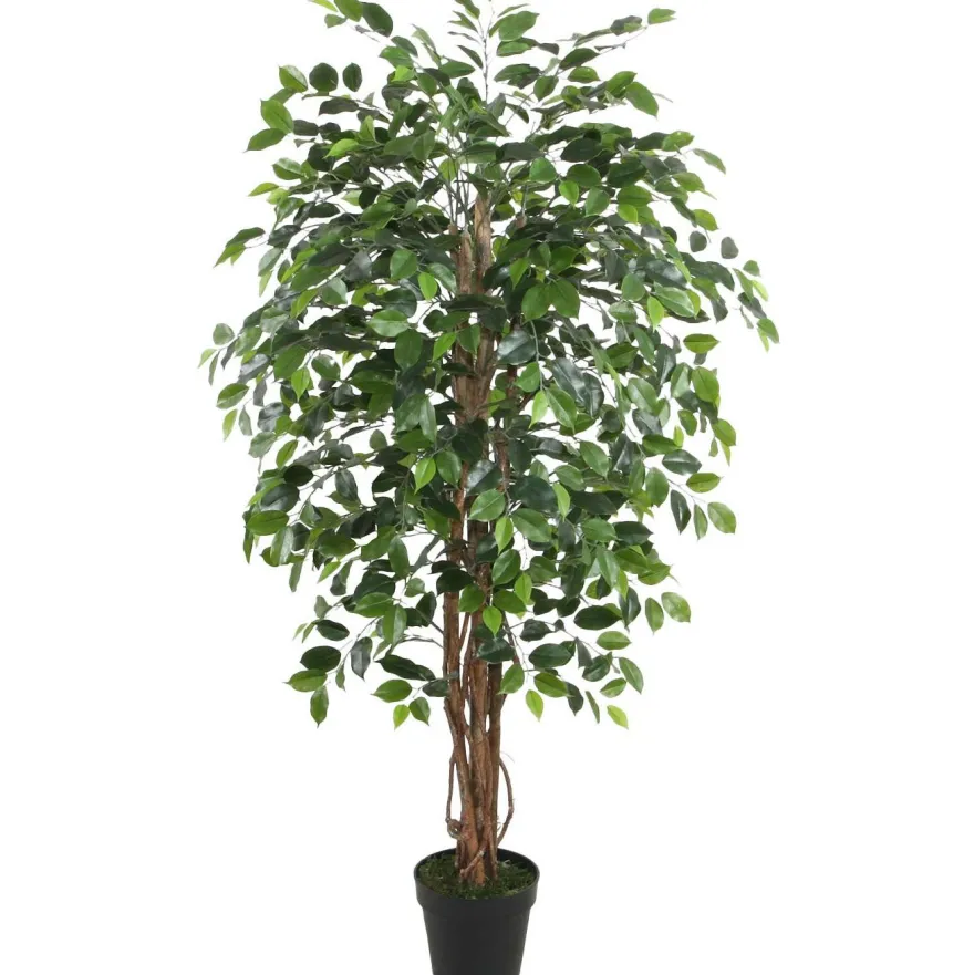 Tekopuu Home4You WIND FICUS K150 cm, vihreä