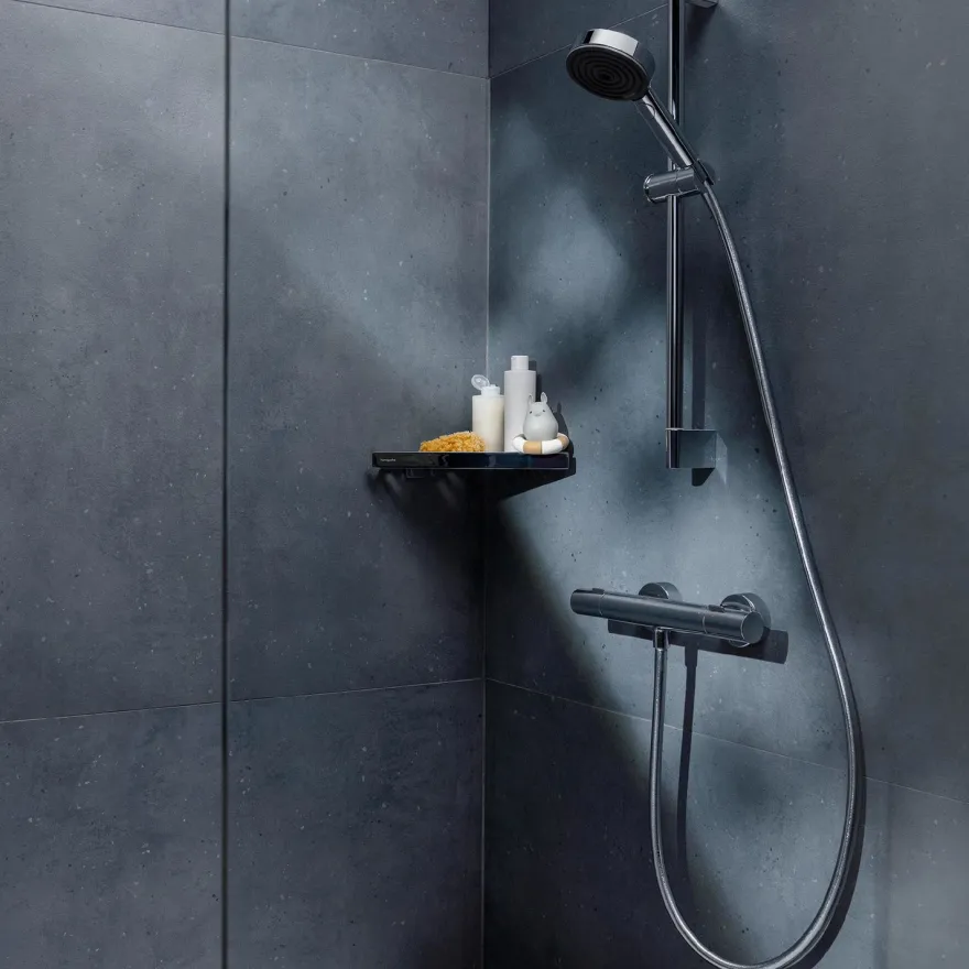 Termostaattihana Hansgrohe Ecostat Fine Nordic, kromi