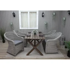 Tuoli Baltic Garden Daisy, 2kpl, polyrottinki