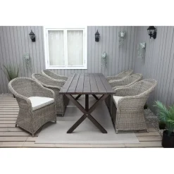 Tuoli Baltic Garden Daisy, 2kpl, polyrottinki