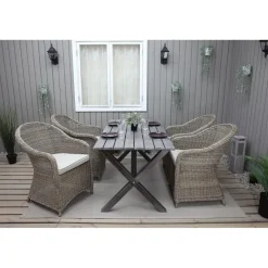 Tuoli Baltic Garden Daisy, 2kpl, polyrottinki
