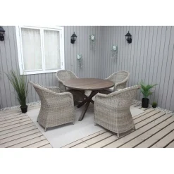 Tuoli Baltic Garden Daisy, 2kpl, polyrottinki