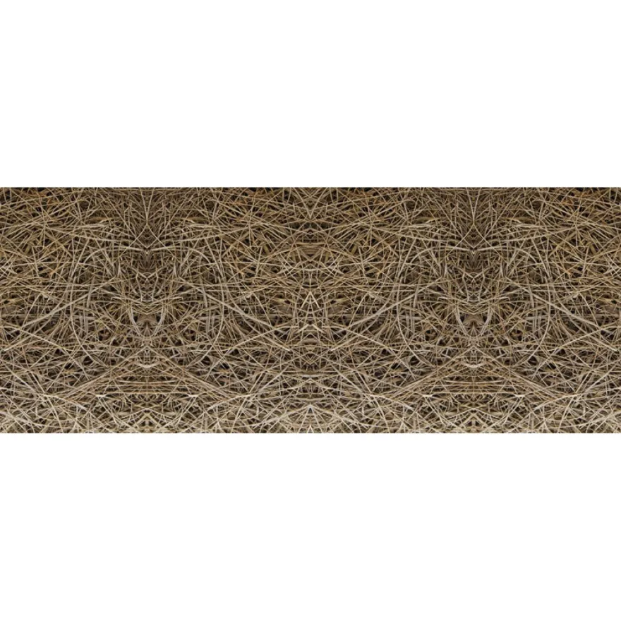 Valokuvatapetti Quattro Reed 8-osainen 372x280cm, ruskea