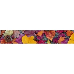 Välitilatarra Dimex Autumn Leaves, 180-350x60cm