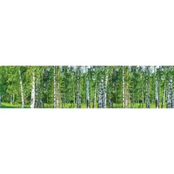 Välitilatarra Dimex Birch Grow, 180-350x60cm