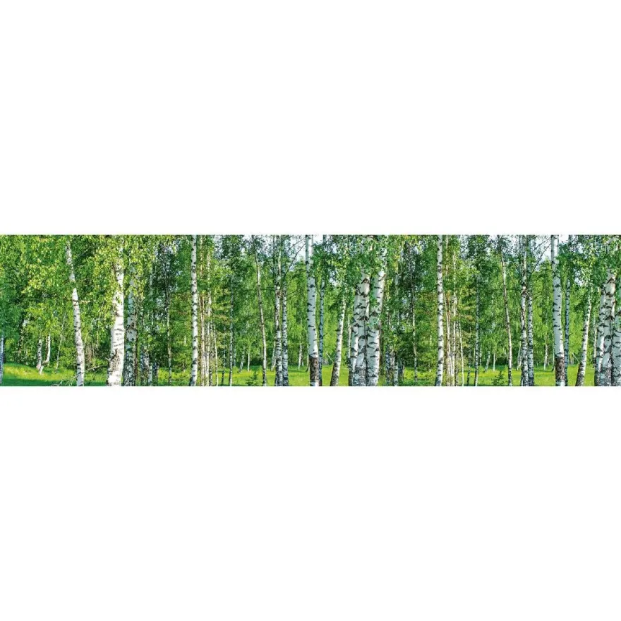 Välitilatarra Dimex Birch Grow, 180-350x60cm