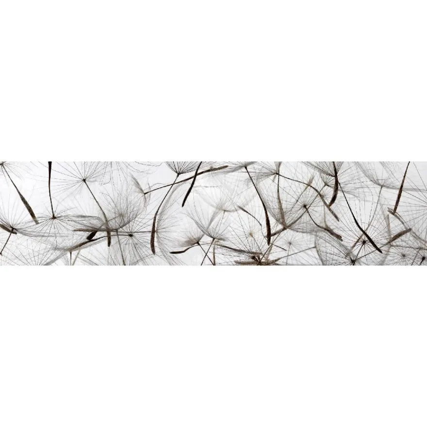 Välitilatarra Dimex Dandelion Seeds, 180-350x60cm