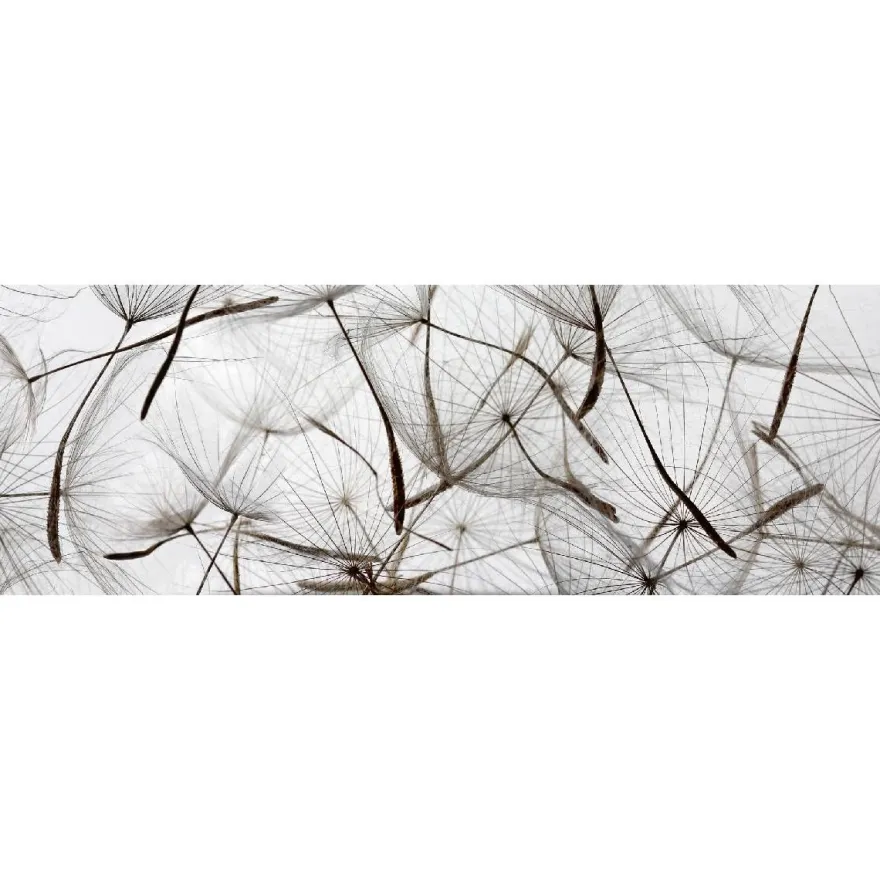 Välitilatarra Dimex Dandelion Seeds, 180-350x60cm