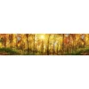 Välitilatarra Dimex Sunny Forest, 180-350x60cm