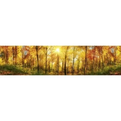 Välitilatarra Dimex Sunny Forest, 180-350x60cm