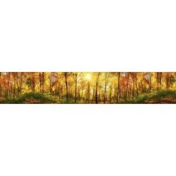 Välitilatarra Dimex Sunny Forest, 180-350x60cm