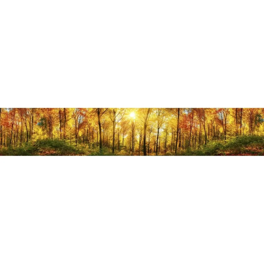Välitilatarra Dimex Sunny Forest, 180-350x60cm