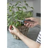 Yrttisakset Gardena FreshCut
